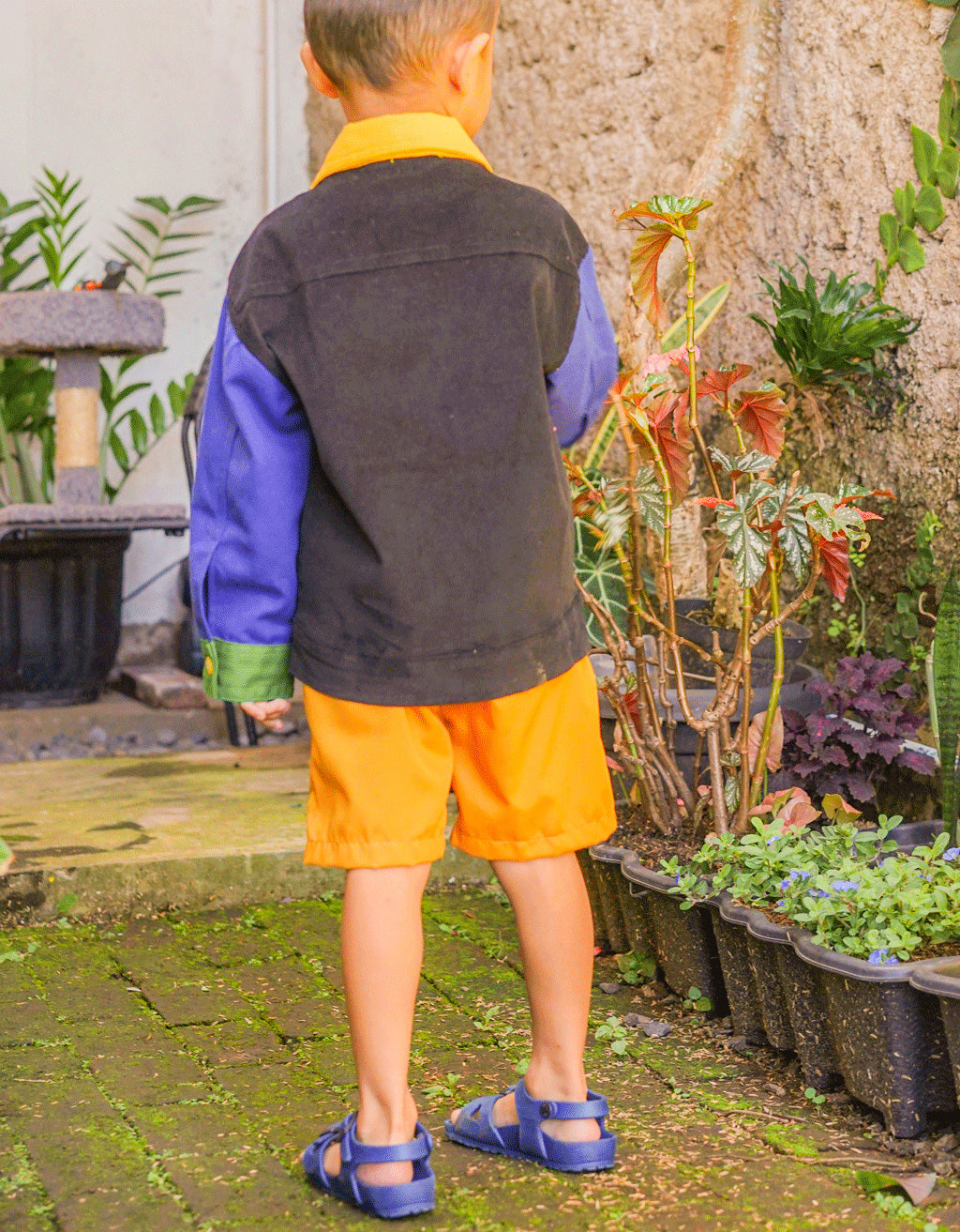 Smitten kids - Jacket - Universe