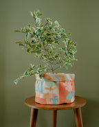 Living Loving X Smitten - Little Happiness - Pot Cover