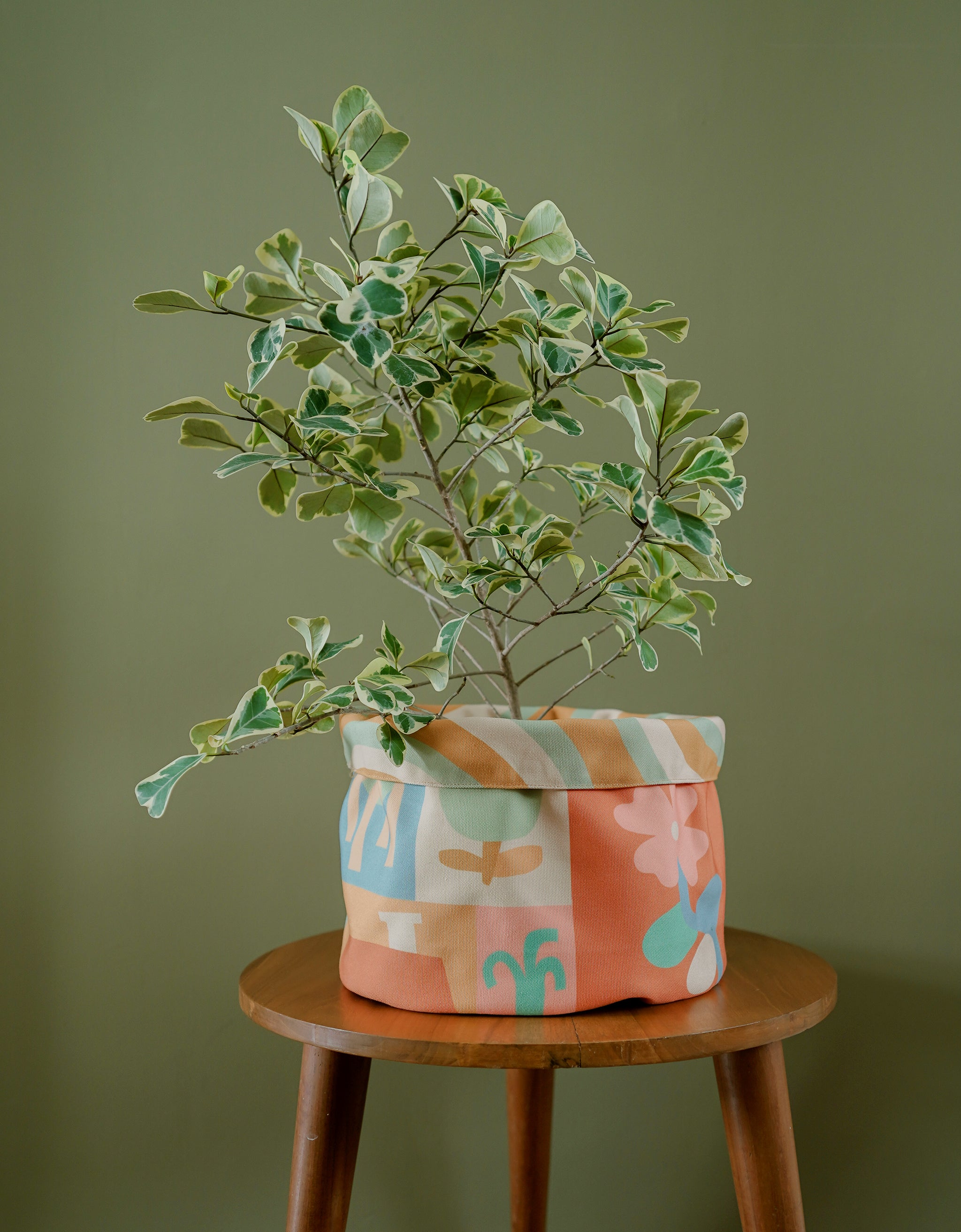 Living Loving X Smitten - Little Happiness - Pot Cover