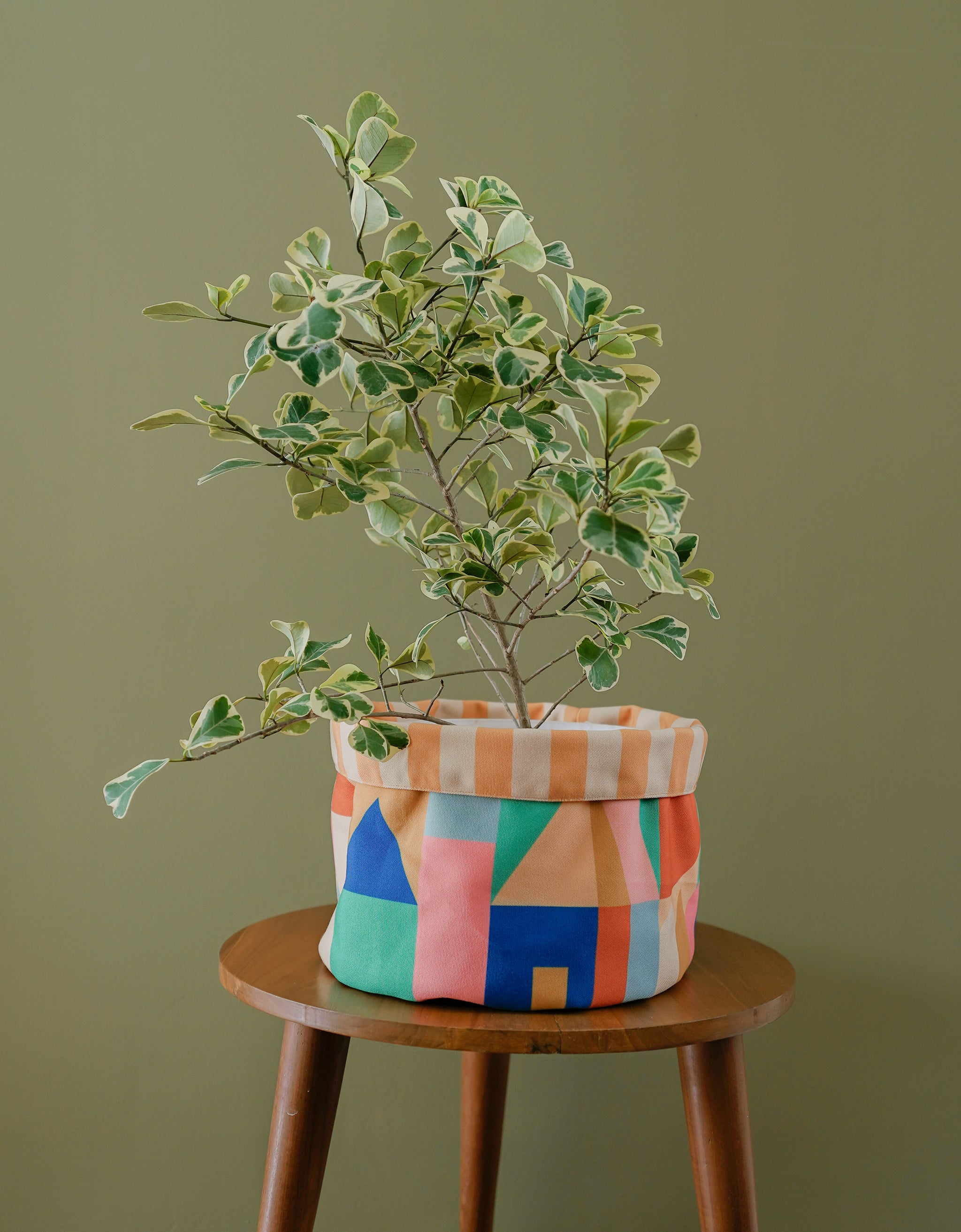 Living Loving x Smitten - Neighborhood - Pot Cover